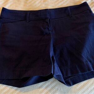 The Limited Cobalt Blue Women's Shorts